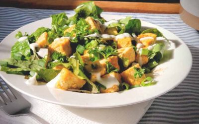 Fruchtiger Asia-Salat mit Räuchertofu und Sojasprossen